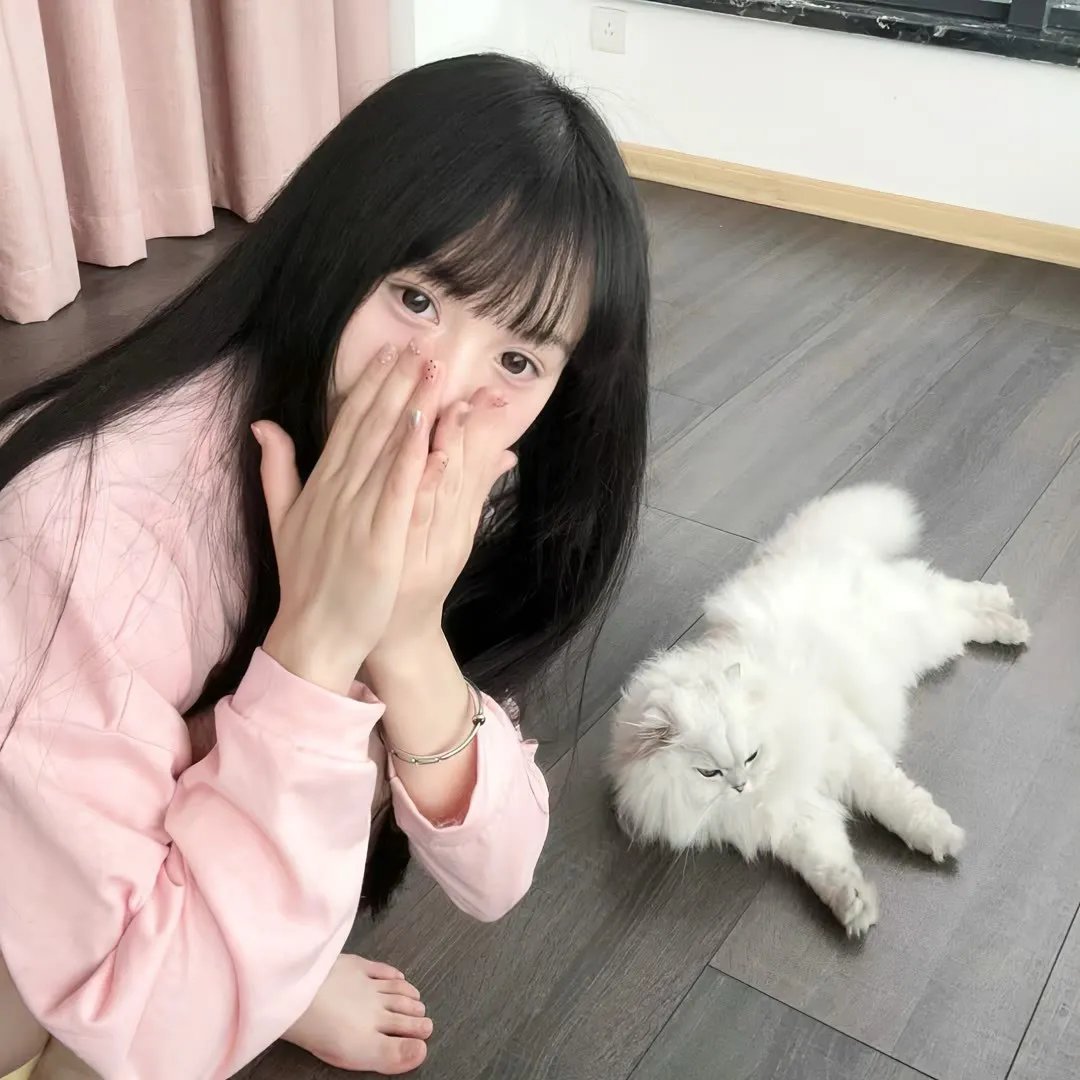 鲨海